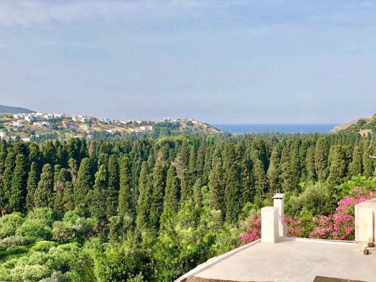 Villa Andros Epoque Livádhia المظهر الخارجي الصورة